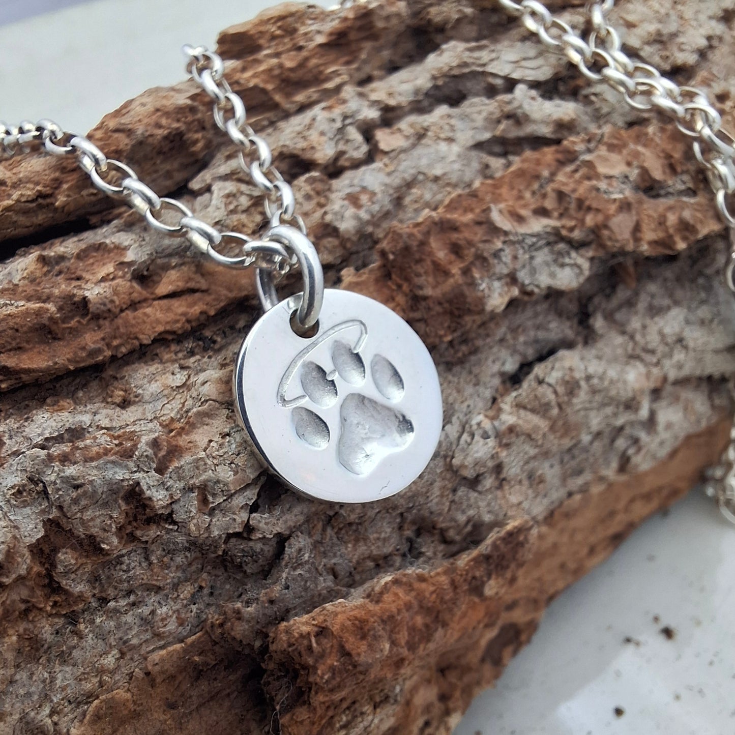 Paw Print Disk with Halo